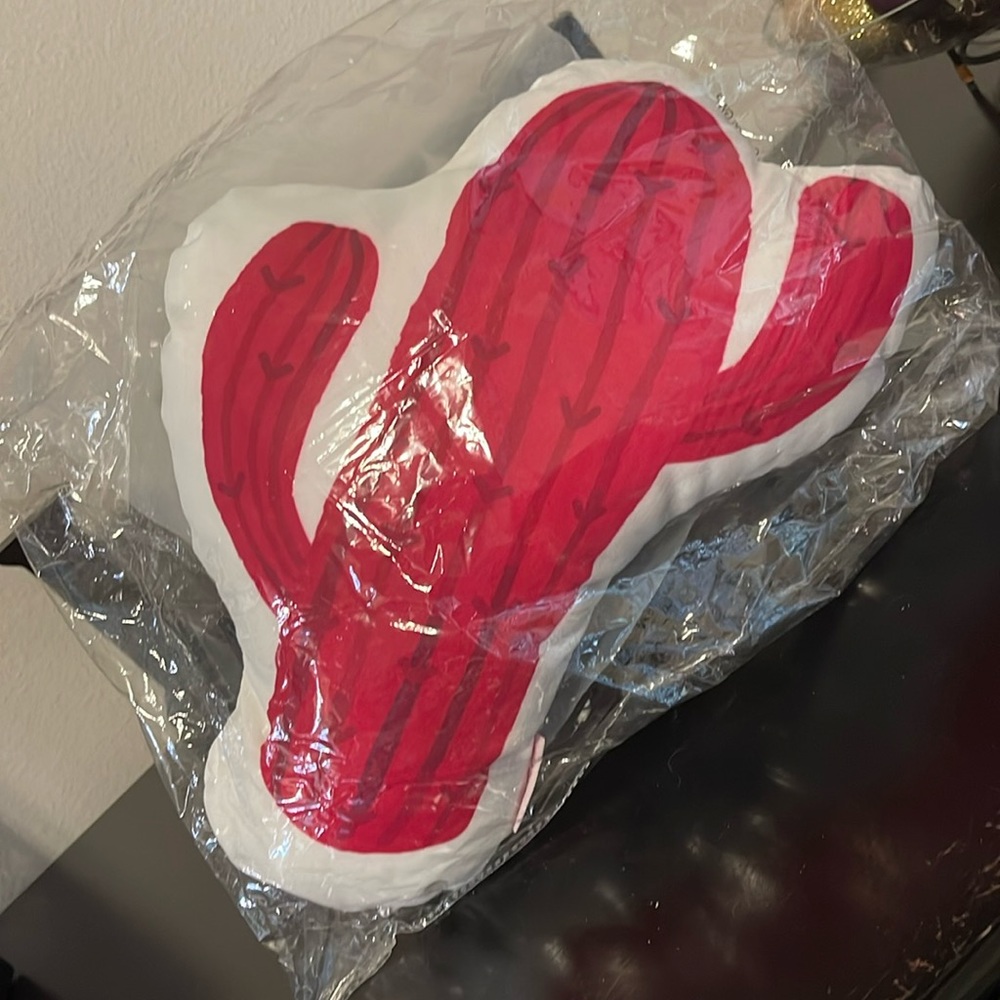 Escada cactus 🌵 pillow.
